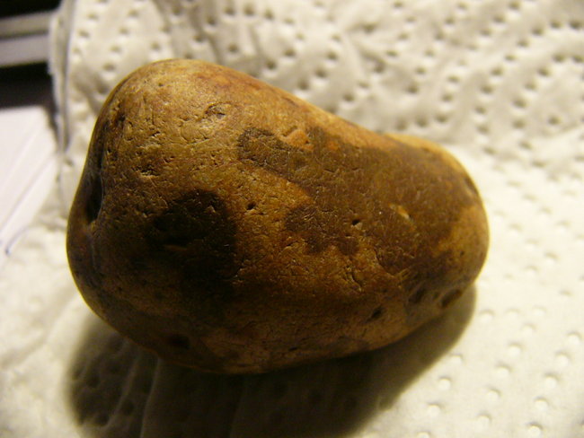 P1450222.JPG
