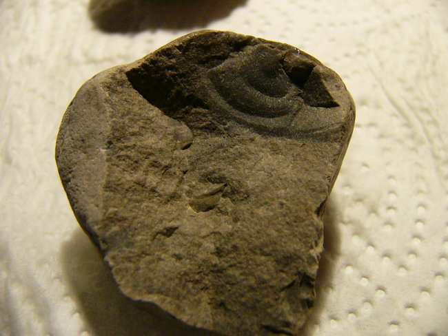 P1450220.JPG