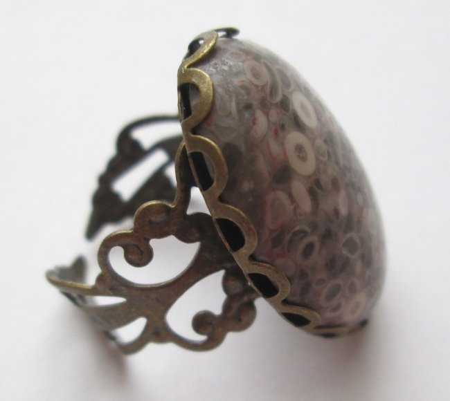 ring crinoiden02.jpg