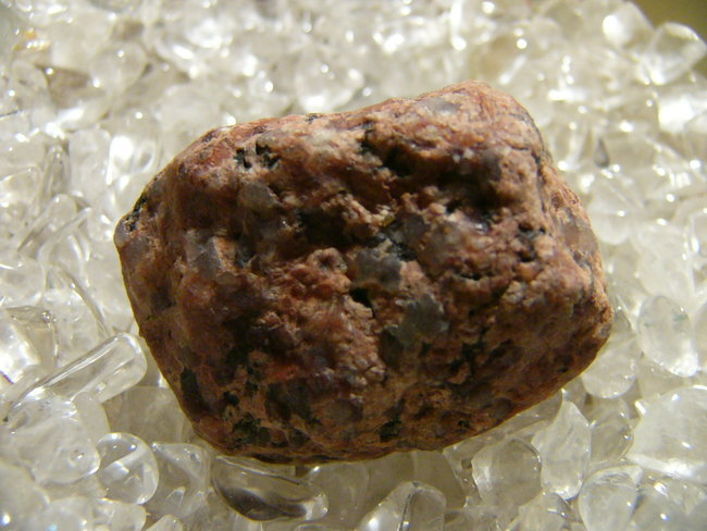 P1450410.JPG
