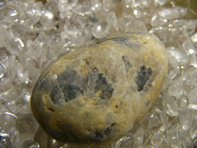 P1450419.JPG