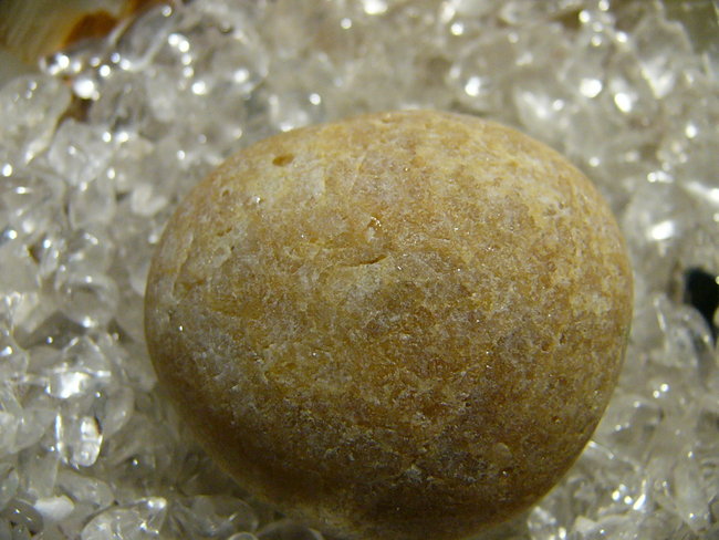 P1450422.JPG
