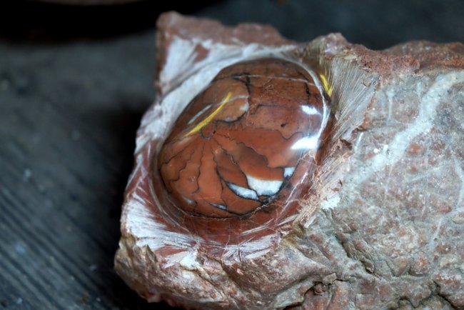 Kleiner Ammonit mit Quarzeinschlüssen.