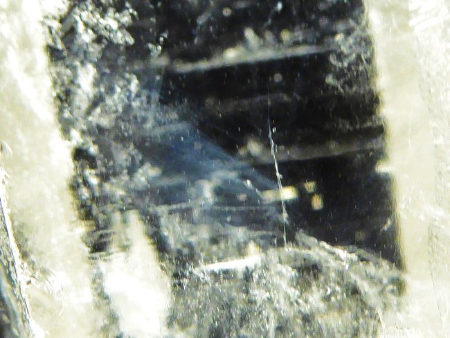 P1020706s.jpg