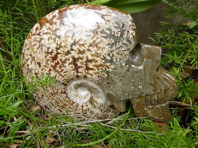 P1020689s.jpg