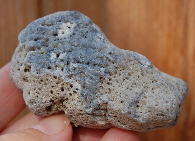 Kieselschwamm mit Chalcedon