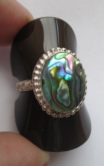 Abalone, Pauamuschel