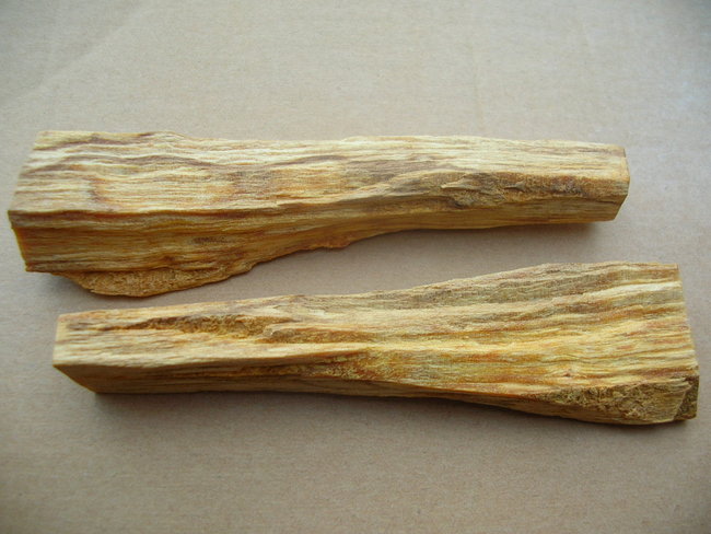 Bursera graveolens A-Qualität