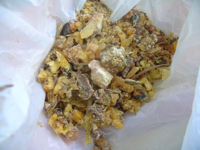DSCN9726.JPG