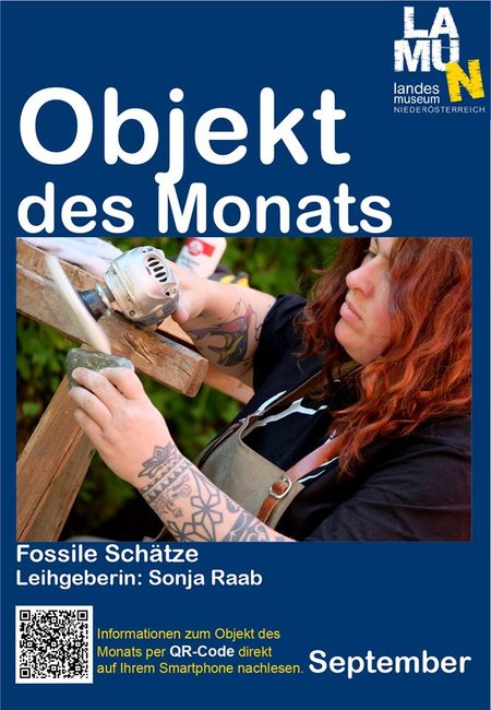 Plakat des niederösterreichischen Landesmuseums in St. Pölten