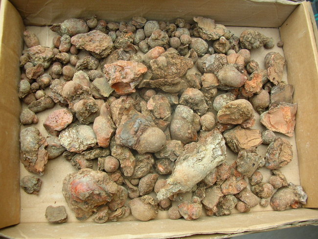 DSCN9802.JPG
