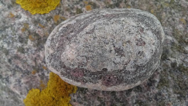 granatgneis.jpg
