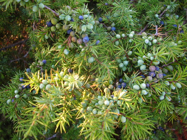 DSCN9846.JPG