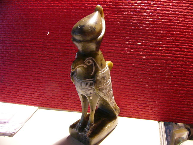 Horus Falke