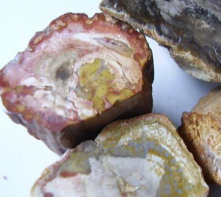 Holz.jpg