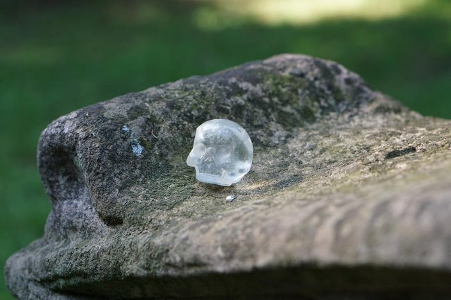 skull1.jpg