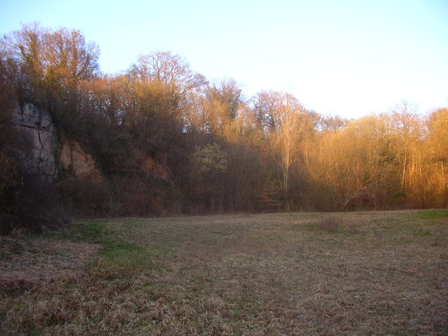 DSCN8742.JPG