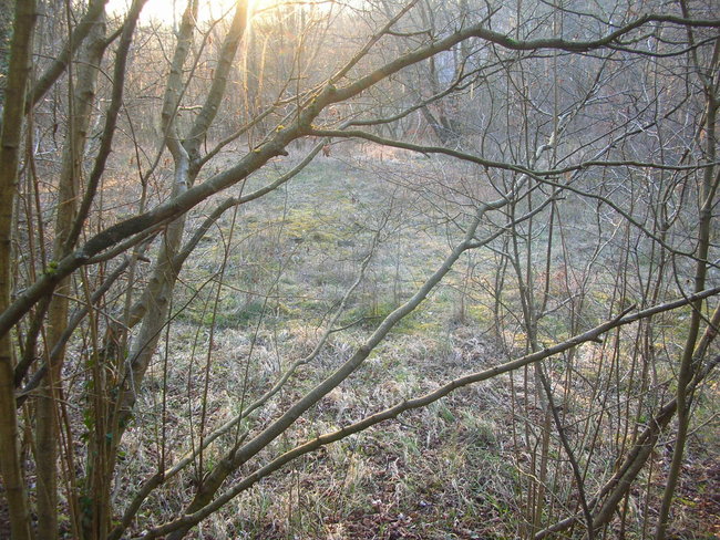 DSCN8747.JPG