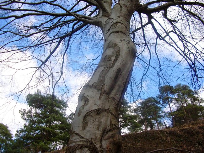DSCN8655.JPG