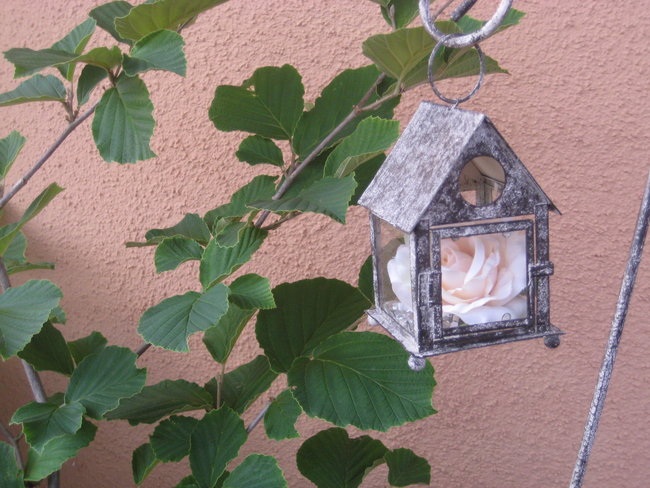 Das Rosenhäuschen