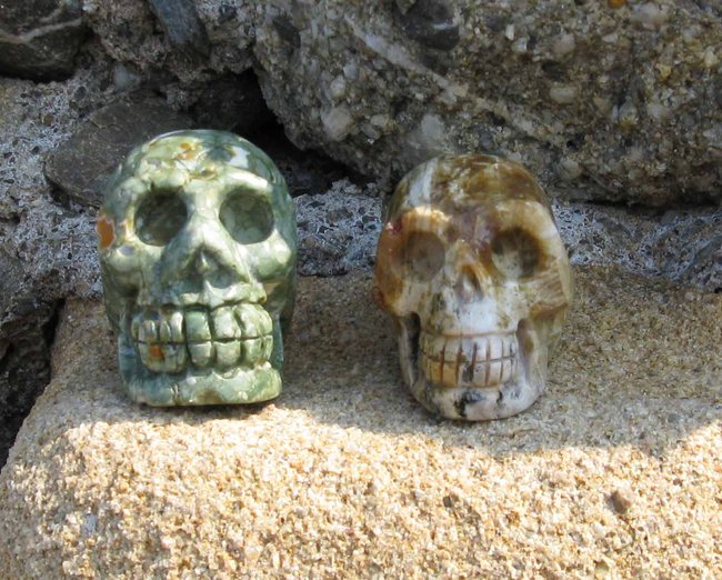 Arasto und Benji (versteinertes Holz)