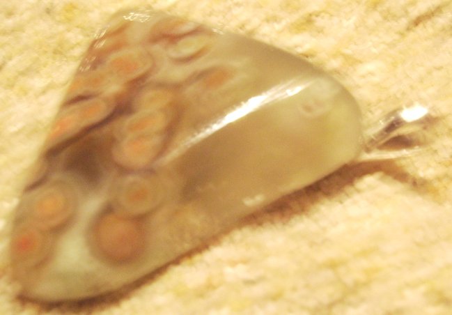 IMG_4113.JPG (436.77 KiB) 9889 mal betrachtet dreieckiger total transparenter Ozeaner