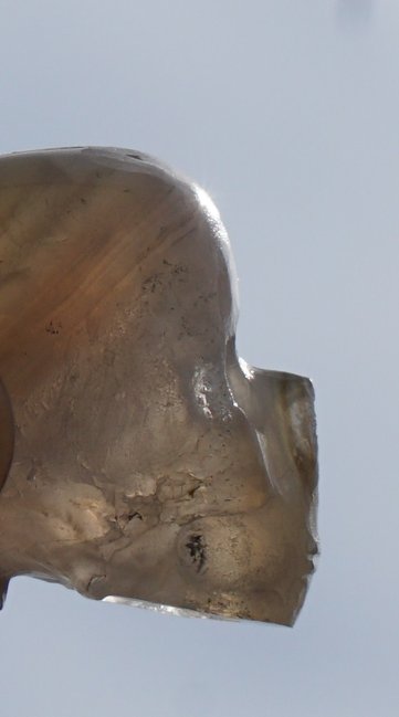 achat.skull.JPG