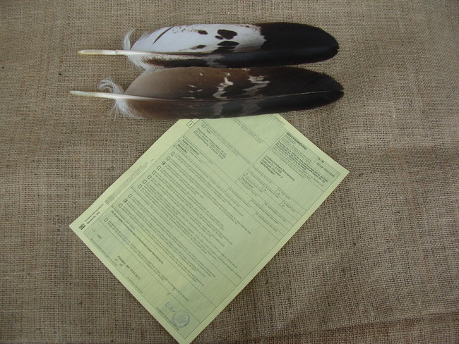 DSCN9851.JPG