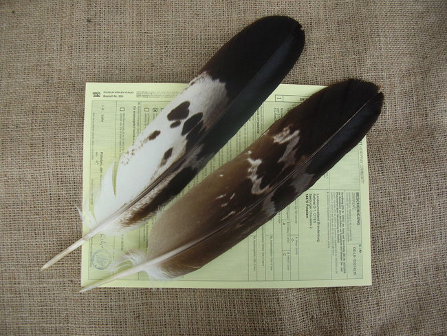 DSCN9854.JPG