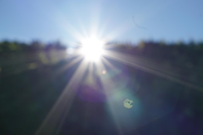 morgensonne.jpg