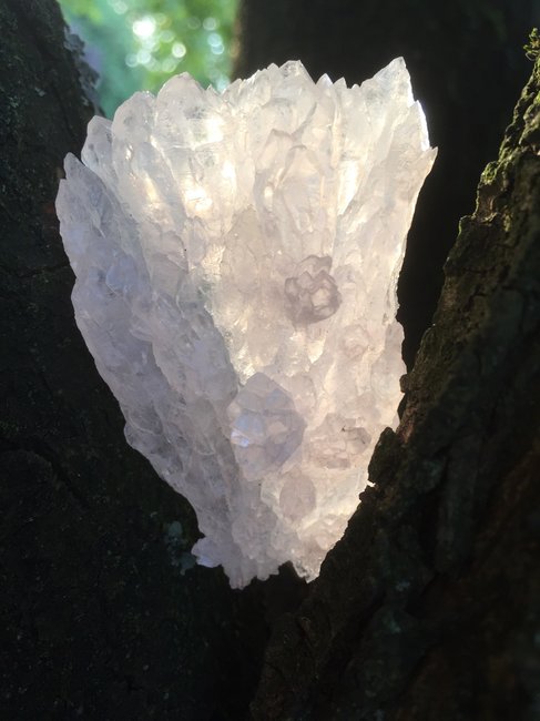 Angelwing Rosenquarz.JPG