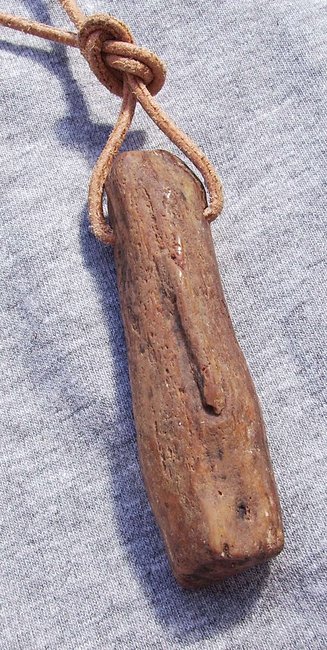 tagsüber, auf der Veranda  sind klasse Lichtverhältnisse<br />dann  macht  Mr. Glue-On  auch halbwegs  ansehnliche Bilder  :-)