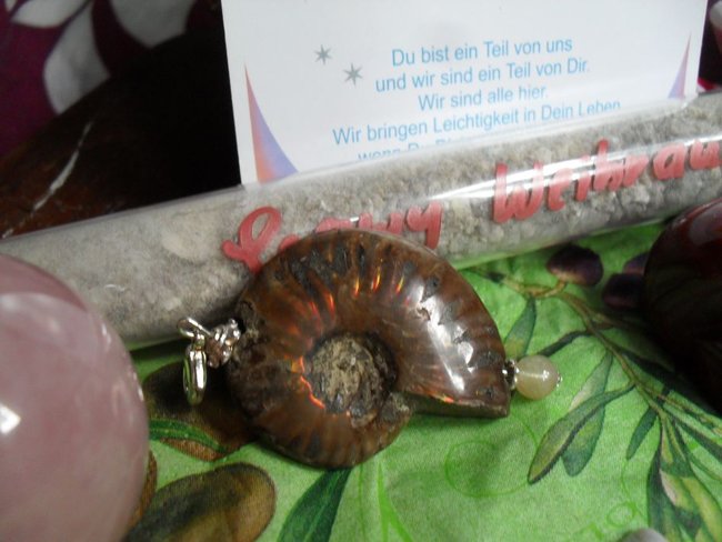 Ammonit mit Rutilquarz