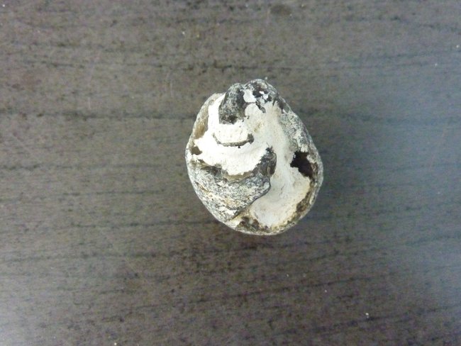 Feuerstein mit Kalkstein2.JPG