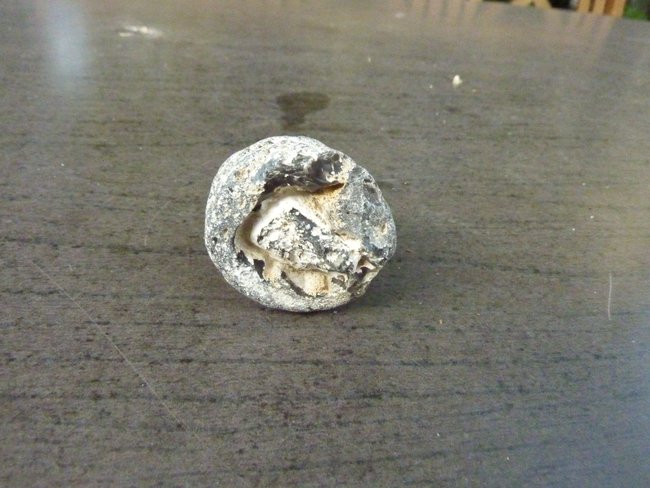 Feuerstein mit Kalkstein3.JPG