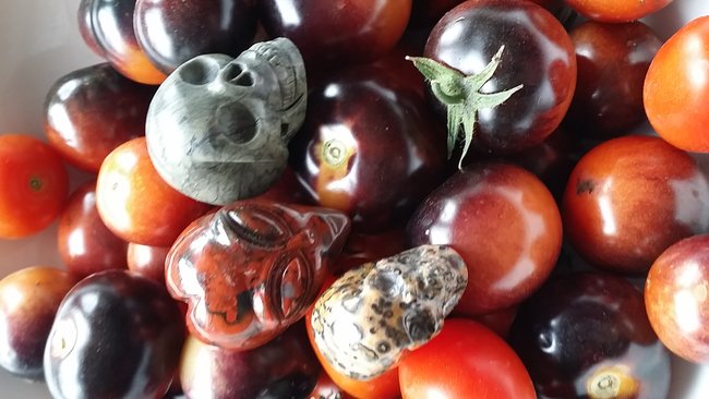 Bad in den Tomaten - Konkurrenzüberprüfung