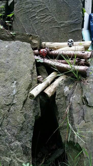 Nein, das ist nicht eure Höhle....da wohnt Max, der Igel