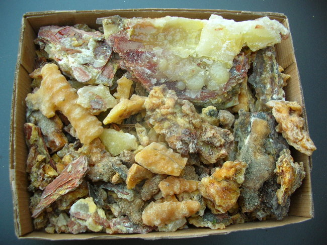 DSCN9999.JPG
