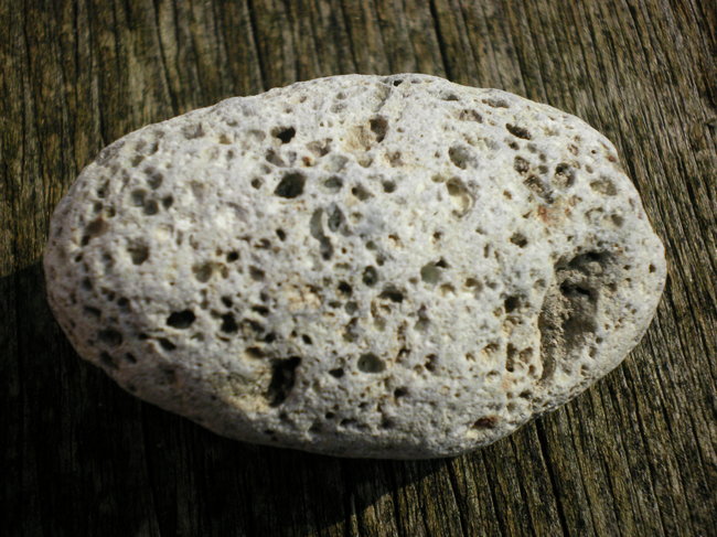 SANY0045.JPG