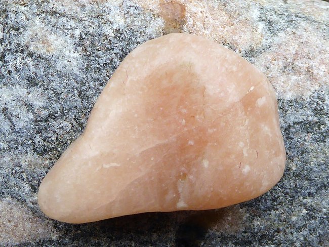 P1510658s.jpg