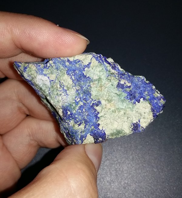 Flecklapis?