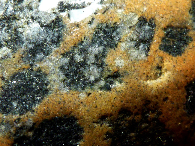 Västervik Fleckenstein.jpg