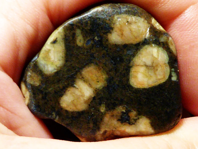 P1520620s.jpg