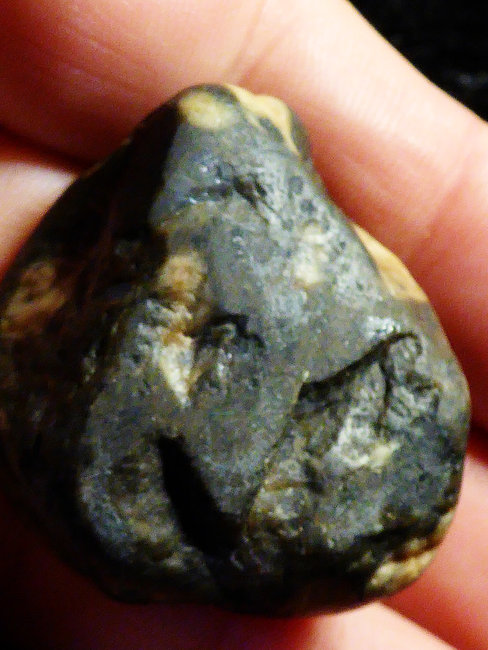 P1520617s.jpg