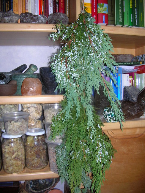 DSCN0171.JPG