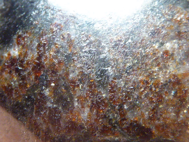 P1530028.JPG