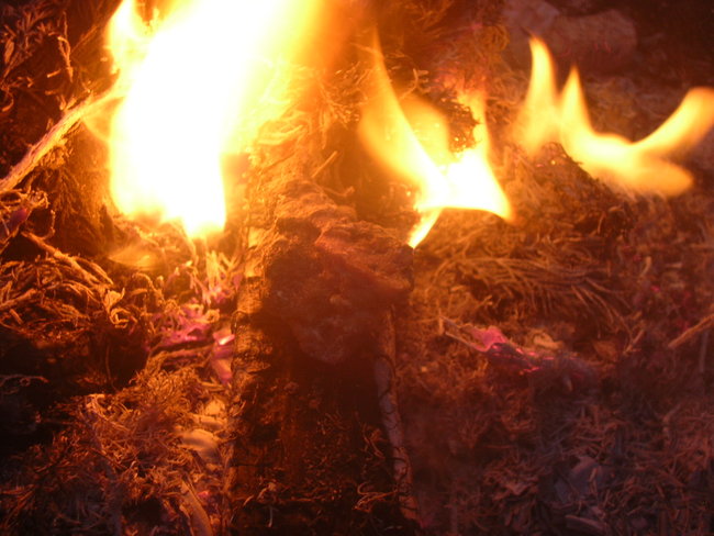 DSCN0262.JPG