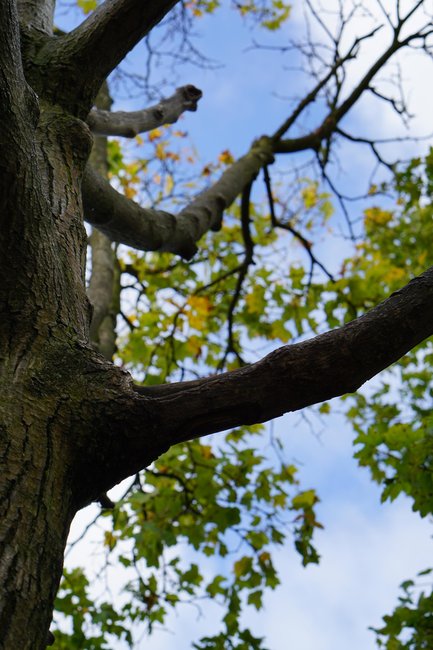 herbst.JPG