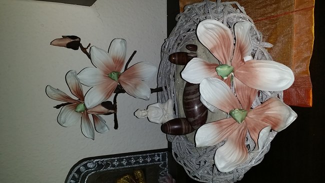 Meine Shiva Lingams