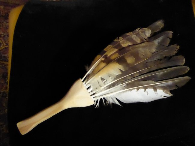 P1070853s.jpg